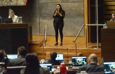 Foto de la galería: Legislatura: por ley cada 8 de agosto se celebrará el día de la Mujer Chamamecera 