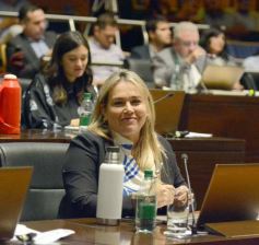 Foto de la galería: Legislatura: por ley cada 8 de agosto se celebrará el día de la Mujer Chamamecera 