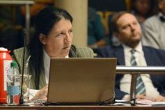 Foto de la galería: Legislatura: por ley cada 8 de agosto se celebrará el día de la Mujer Chamamecera 