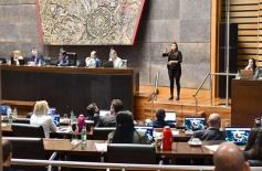 Foto de la galería: Legislatura: por ley cada 8 de agosto se celebrará el día de la Mujer Chamamecera 