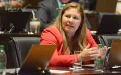 Foto de la galería: Legislatura: por ley cada 8 de agosto se celebrará el día de la Mujer Chamamecera 