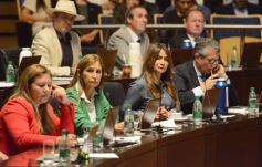 Foto de la galería: Legislatura: por ley cada 8 de agosto se celebrará el día de la Mujer Chamamecera 