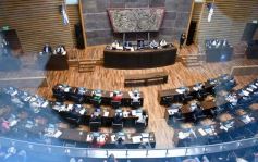 Foto de la galería: Legislatura: por ley cada 8 de agosto se celebrará el día de la Mujer Chamamecera 