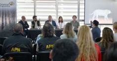 Foto de la galería: Fundación Vida Silvestre: cerca de 100 yaguaretés habitan en la Selva Misionera