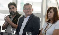 Foto de la galería: Fundación Vida Silvestre: cerca de 100 yaguaretés habitan en la Selva Misionera