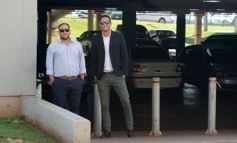 Foto de la galería: Fundación Vida Silvestre: cerca de 100 yaguaretés habitan en la Selva Misionera