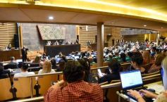Foto de la galería: Cámara de Diputados: aprobaron un nuevo área natural protegida en Misiones