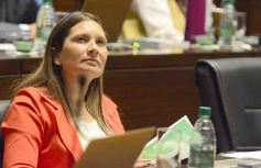 Foto de la galería: Cámara de Diputados: aprobaron un nuevo área natural protegida en Misiones