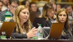 Foto de la galería: Cámara de Diputados: aprobaron un nuevo área natural protegida en Misiones