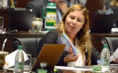 Foto de la galería: Cámara de Diputados: aprobaron un nuevo área natural protegida en Misiones