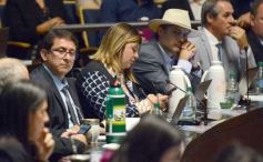 Foto de la galería: Cámara de Diputados: aprobaron un nuevo área natural protegida en Misiones