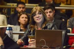 Foto de la galería: Legisladores misioneros aprobaron la ley de Academia Gamer y del uso de agua de lluvias