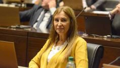 Foto de la galería: Legisladores misioneros aprobaron la ley de Academia Gamer y del uso de agua de lluvias