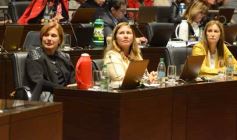 Foto de la galería: Legisladores misioneros aprobaron la ley de Academia Gamer y del uso de agua de lluvias