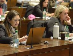 Foto de la galería: Legisladores misioneros aprobaron la ley de Academia Gamer y del uso de agua de lluvias