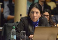 Foto de la galería: Legisladores misioneros aprobaron la ley de Academia Gamer y del uso de agua de lluvias