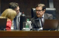 Sixto Fotografías. Sociedad. Cámara de Diputados - Legislatura: salud y ambiente encabezaron las nuevas leyes aprobadas 