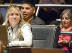 Foto de la galería: Legislatura: salud y ambiente encabezaron las nuevas leyes aprobadas 