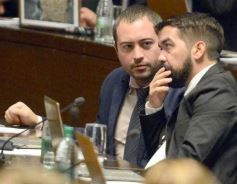 Foto de la galería: Legislatura: salud y ambiente encabezaron las nuevas leyes aprobadas 