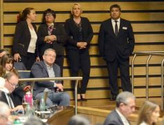 Foto de la galería: Legislatura: salud y ambiente encabezaron las nuevas leyes aprobadas 