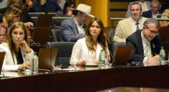 Foto de la galería: Legislatura: salud y ambiente encabezaron las nuevas leyes aprobadas 