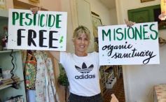 Foto de la galería: Últimas de junio y primeras de julio: postales con mucho de lo que se vio en la ciudad