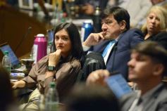 Foto de la galería: Legislatura: Semana Provincial del Donante de Sangre, entre las leyes aprobadas