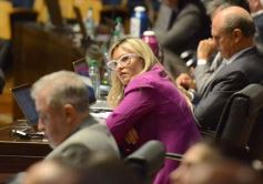 Foto de la galería: Legislatura: Semana Provincial del Donante de Sangre, entre las leyes aprobadas