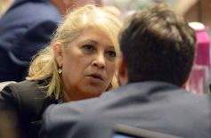 Foto de la galería: Legislatura: Semana Provincial del Donante de Sangre, entre las leyes aprobadas