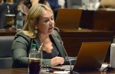 Foto de la galería: Legislatura: Semana Provincial del Donante de Sangre, entre las leyes aprobadas