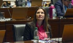 Foto de la galería: Legislatura: Semana Provincial del Donante de Sangre, entre las leyes aprobadas