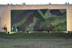 Foto de la galería: Chacras sustentables: promueven la agroecología para la producción misionera