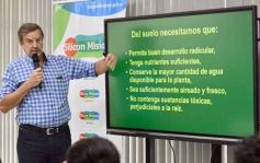 Foto de la galería: Chacras sustentables: promueven la agroecología para la producción misionera