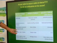 Foto de la galería: Chacras sustentables: promueven la agroecología para la producción misionera