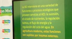 Foto de la galería: Chacras sustentables: promueven la agroecología para la producción misionera