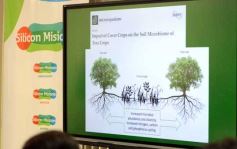 Foto de la galería: Chacras sustentables: promueven la agroecología para la producción misionera