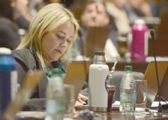 Foto de la galería: Diputados: trabajo infantil, mujeres rurales y lactancia, en las leyes de la última sesión antes del receso