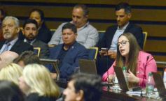Foto de la galería: Diputados: trabajo infantil, mujeres rurales y lactancia, en las leyes de la última sesión antes del receso