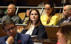 Foto de la galería: Diputados: trabajo infantil, mujeres rurales y lactancia, en las leyes de la última sesión antes del receso