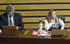 Foto de la galería: Diputados: trabajo infantil, mujeres rurales y lactancia, en las leyes de la última sesión antes del receso