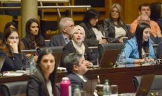 Foto de la galería: Diputados: trabajo infantil, mujeres rurales y lactancia, en las leyes de la última sesión antes del receso