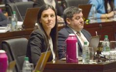 Foto de la galería: Diputados: trabajo infantil, mujeres rurales y lactancia, en las leyes de la última sesión antes del receso