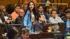 Foto de la galería: Diputados: trabajo infantil, mujeres rurales y lactancia, en las leyes de la última sesión antes del receso