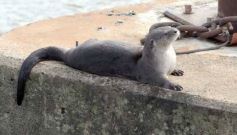 Foto de la galería: Posadeños en modo turistas: salida familiar con disfrute y postales en la ciudad