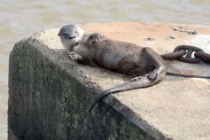 Foto de la galería: Posadeños en modo turistas: salida familiar con disfrute y postales en la ciudad