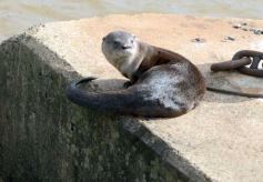 Foto de la galería: Posadeños en modo turistas: salida familiar con disfrute y postales en la ciudad