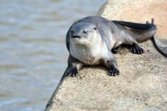 Foto de la galería: Posadeños en modo turistas: salida familiar con disfrute y postales en la ciudad