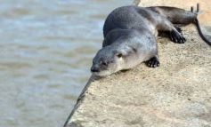 Foto de la galería: Posadeños en modo turistas: salida familiar con disfrute y postales en la ciudad