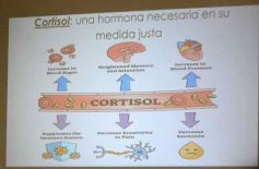 Foto de la galería: Cuerpo, mente y emociones: se realizó la Charla sobre Medicina del Estrés en Posadas