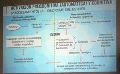 Foto de la galería: Cuerpo, mente y emociones: se realizó la Charla sobre Medicina del Estrés en Posadas